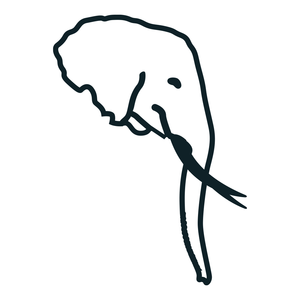 Aquatic Elephant